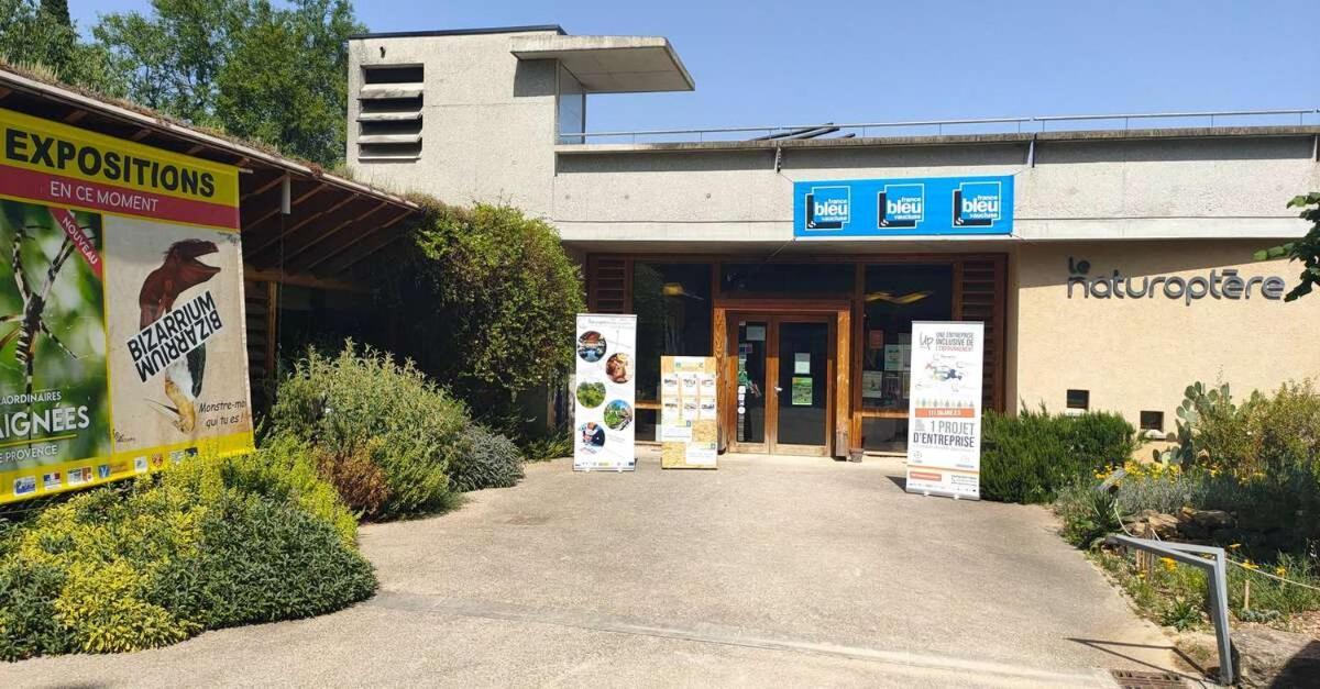 Ferienwohnung La Grotte Sérignan-du-Comtat Exterior foto